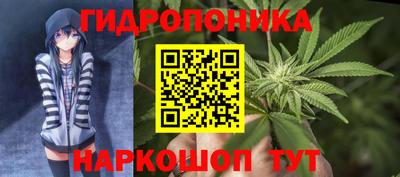молекула духа Кулебаки
