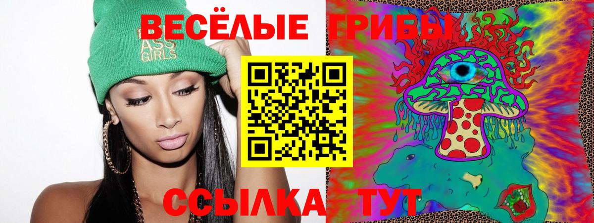 Галлюциногенные грибы Psilocybine cubensis  Вход с VPN  Калач-на-Дону 