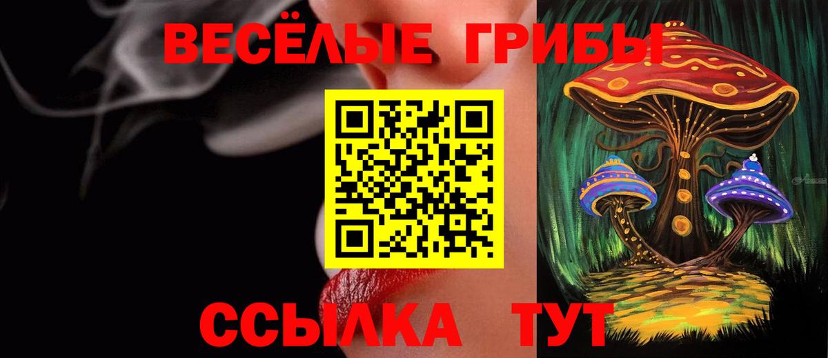 Галлюциногенные грибы прущие грибы Калач-на-Дону